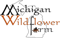 Michigan Wildflower Farm