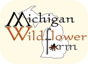Michigan Wildflower Farm