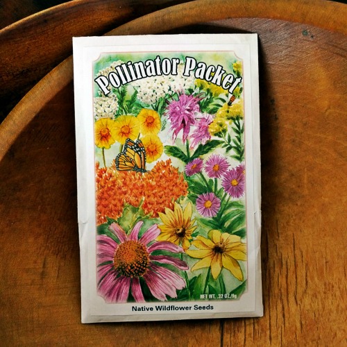 Custom Seed Packets - Pollination Celebration - Pollinator Wildflower Mix