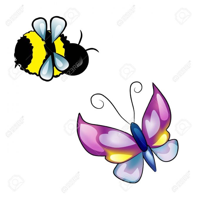 beeandbutterfly