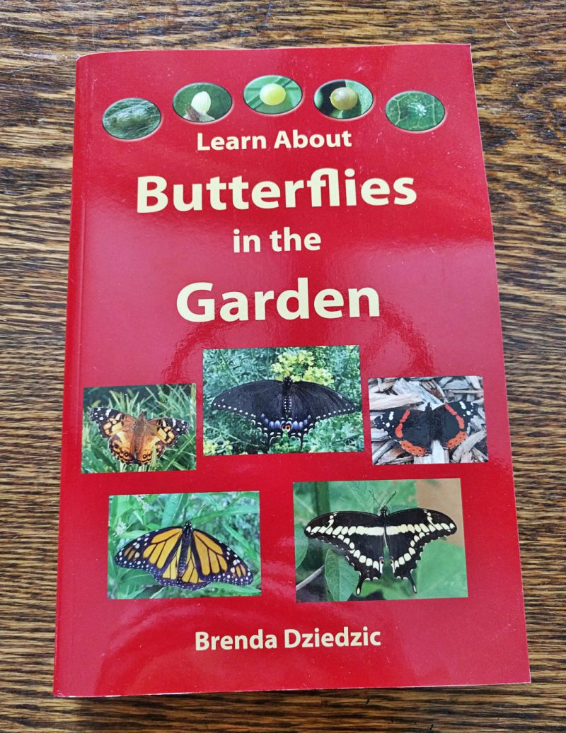 LEARN ABOUT BUTTERFLIES BOOK
