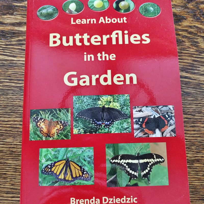 LEARN ABOUT BUTTERFLIES BOOK