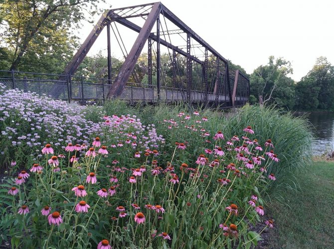 DoehneRockBlooms