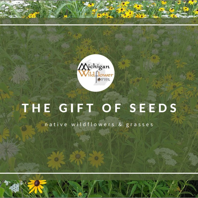 MWF Gift Certificates (Now Digital!)